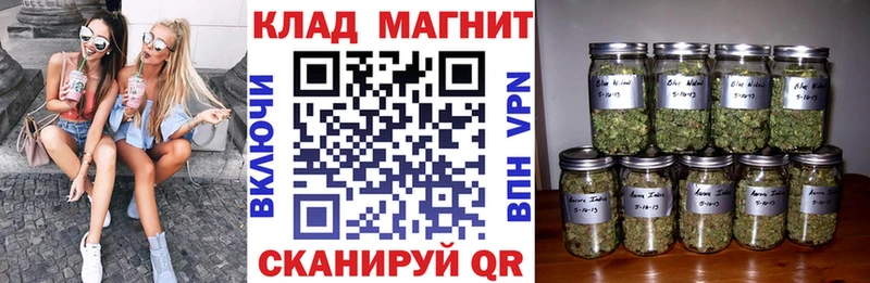 Купить наркотики Гагарин КОКАИН  Псилоцибиновые грибы  LSD-25  СК  Гашиш 