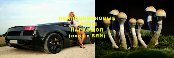 экстази Баксан