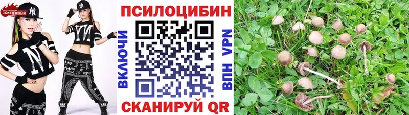 Галлюциногенные грибы Psilocybe  Гагарин 