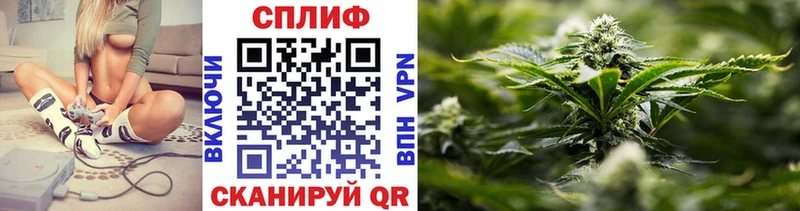 Бошки Шишки SATIVA & INDICA  Гагарин 